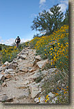 White Tanks Mountain Photos