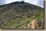 White Tanks Mountain Photos