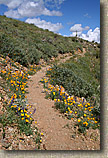 White Tanks Mountain Photos