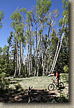 AZ 2010 - Flagstaff Part I