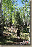 AZ 2010 - Flagstaff Part I