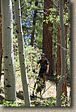 AZ 2010 - Rainbow Rim Trail