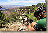 AZ 2010 - Rainbow Rim Trail