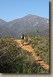 Photo from along the Bell Ridge Trail