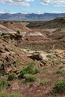 The Lunch Loops of Grand Junction