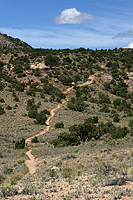 The Lunch Loops of Grand Junction