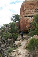 The Lunch Loops of Grand Junction