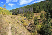 Two Elks Trail