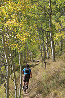 Two Elks Trail