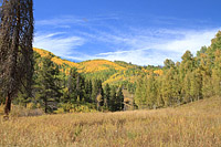 Two Elks Trail