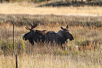 Winter Park, CO