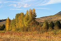 Winter Park, CO