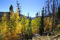 Winter Park, CO