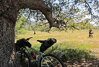 Coast To Crest Trail