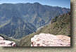 Copper Canyon Picture