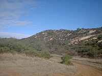 DaleyRanch-11NOV01-09-CougarRidge-3.jpg (78931 bytes)