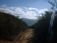 DaleyRanch-11NOV01-10-CrestSingleTrack-1.jpg (84239 bytes)