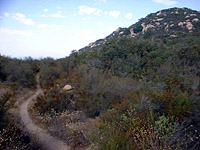 DaleyRanch-13AUG01-02-BurntMountainST-2.jpg (119712 bytes)