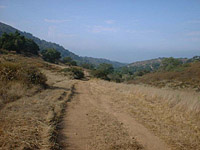 DaleyRanch-13AUG01-04-BobcatSingleTrack.jpg (91818 bytes)