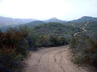 DaleyRanch-13AUG01-05-CrestSingleTrack-1.jpg (93539 bytes)