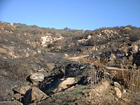 DaleyRanch-22NOV03-FireDamage-05.jpg (108289 bytes)