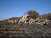 DaleyRanch-22NOV03-FireDamage-07.jpg (69544 bytes)