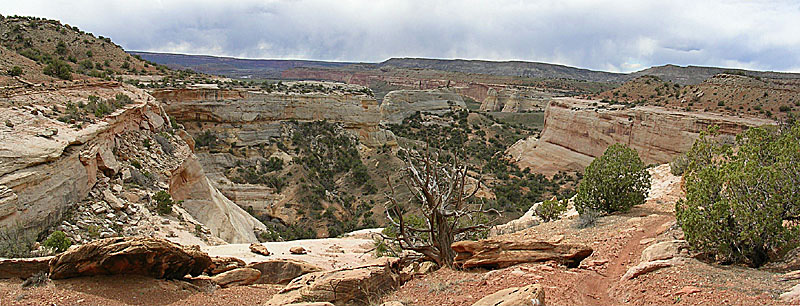 Picture of Rabbit Valley near Loma, CO