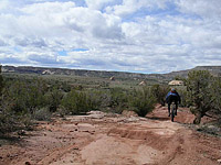 Picture of Rabbit Valley near Loma, CO