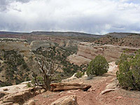 Picture of Rabbit Valley near Loma, CO