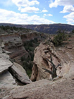 Pictures of Kokopellis area of Fruita