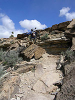 Pictures of Kokopellis area of Fruita