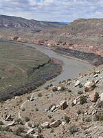 Pictures of Kokopellis area of Fruita