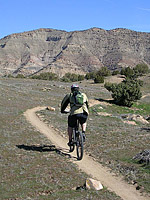 Bookcliffs in Fruita Pciture