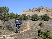 Bookcliffs in Fruita Pciture