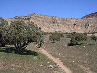 Bookcliffs in Fruita Pciture