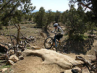 Bookcliffs in Fruita Pciture