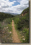 images/Trails/Hollenbeck/HollenbeckCanyon-27APR06-16.jpg