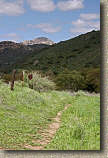 images/Trails/Hollenbeck/HollenbeckCanyon-27APR06-33.jpg