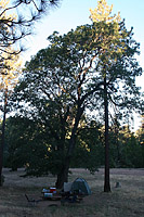 Laguna Mountains Camping in Sept 2007