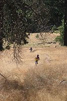 Laguna Mountains Camping in Sept 2007