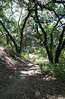 images/Trails/MtWoodson-LakePoway/FryKoegle-19JUN07-03.jpg