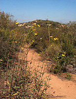 images/Trails/MtWoodson-LakePoway/MtWoodson-10JUN07-02.jpg