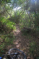 Warren Canyon Trail