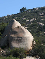 images/Trails/MtWoodson-LakePoway/WarrenCanyon-10JUN07-02.jpg