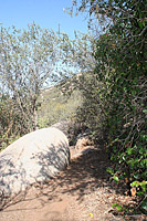 images/Trails/MtWoodson-LakePoway/WarrenCanyon-10JUN07-05.jpg