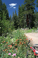 images/Trails/Norcal07/Norcal07-HITG-17JUL07-03.jpg