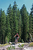 images/Trails/Norcal07/Norcal07-HITG-17JUL07-24.jpg