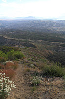 High Point Truck Trail on Palomar Mountain