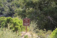 High Point Truck Trail on Palomar Mountain