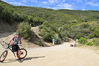 High Point Truck Trail on Palomar Mountain